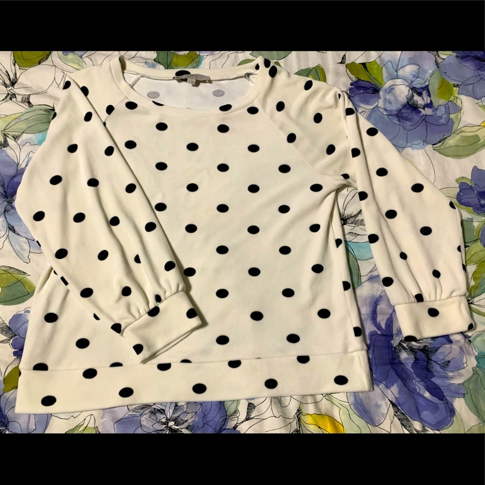 Ann Taylor Loft Black and White Polka Dot Sweater
